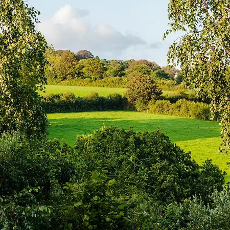 Cornwall Countryside 